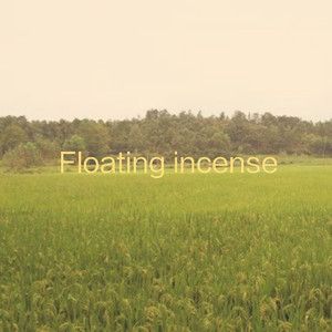 火影二创免费观看网站
