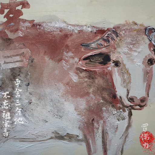 火影二创免费观看网站
